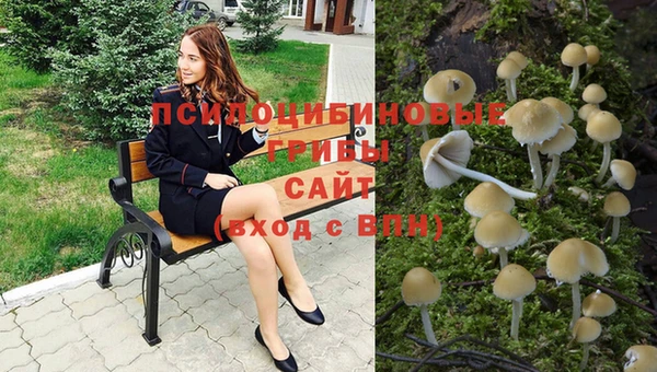 мяу мяу кристалл Арсеньев