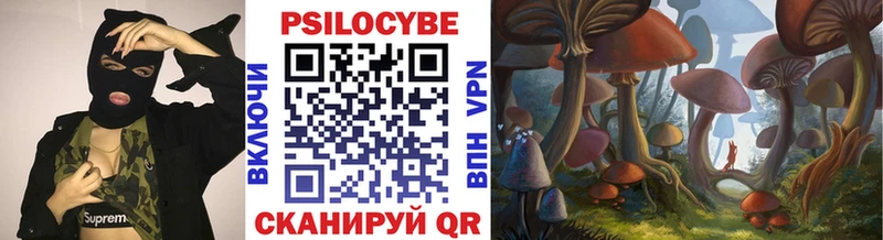 Галлюциногенные грибы Psilocybine cubensis  Барабинск 