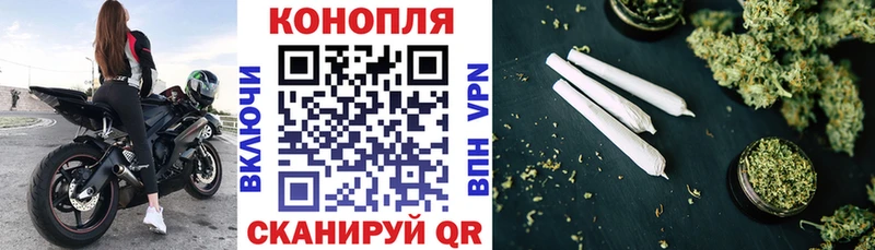 как найти закладки ссылка на мегу ссылка Марихуана сатива Барабинск